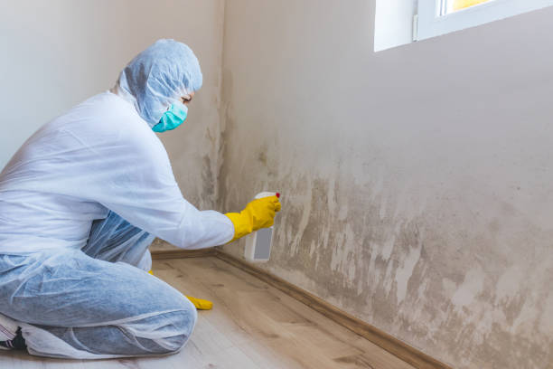 Licensed Crawl Space Mold Removal service in Cambridge, MD - WQB Mold Removal