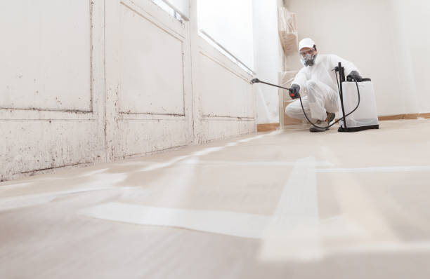 Trusted Crawl Space Mold Removal service in Cambridge, MD - WQB Mold Removal