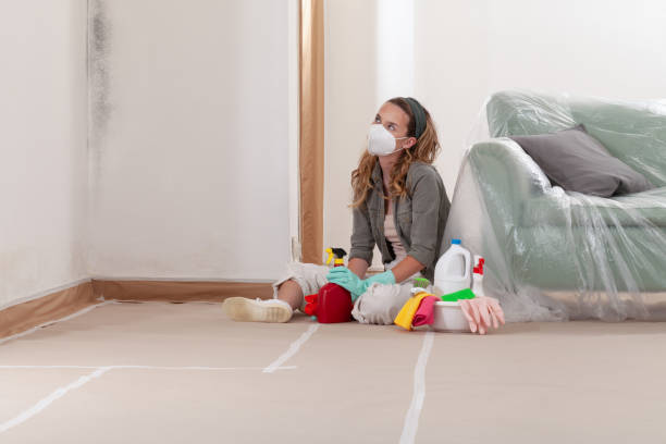 Reliable Crawl Space Mold Removal contractor in Cambridge, MD by WQB Mold Removal
